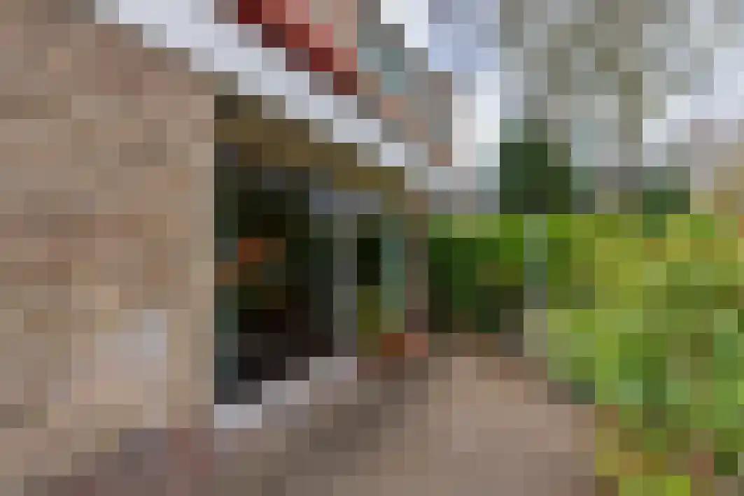 Burgemeester Vissersstraat 12 Tilburg thumbnail 38