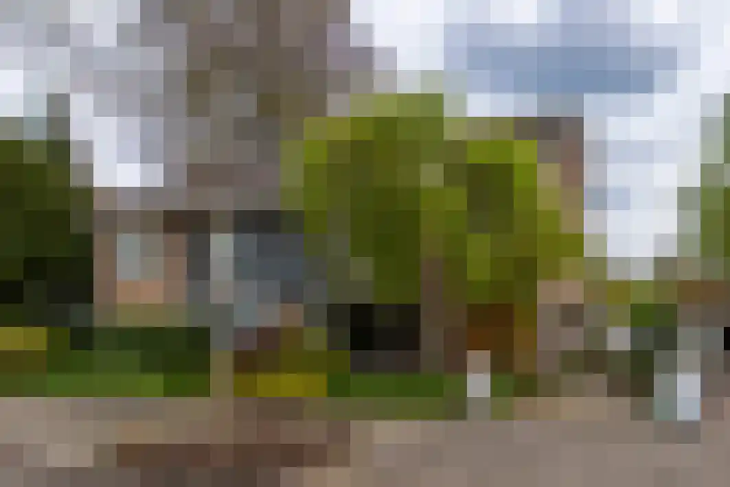 Burgemeester Vissersstraat 12 Tilburg thumbnail 7