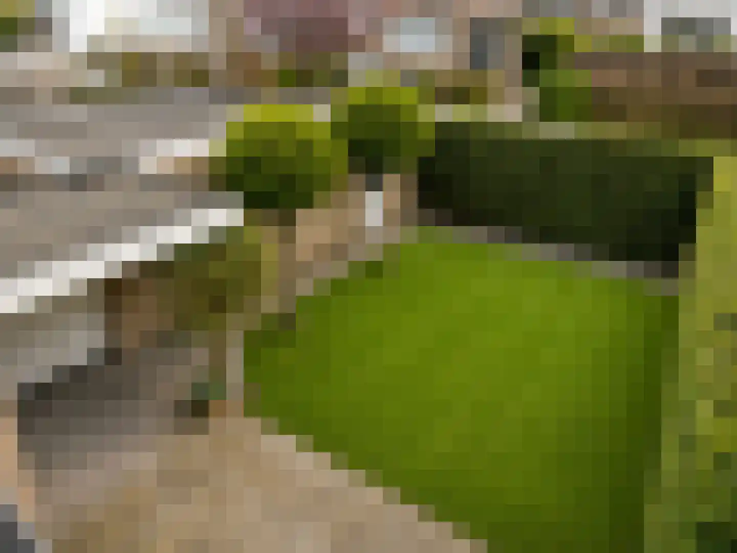 Burgemeester Vissersstraat 15 Tilburg thumbnail 34