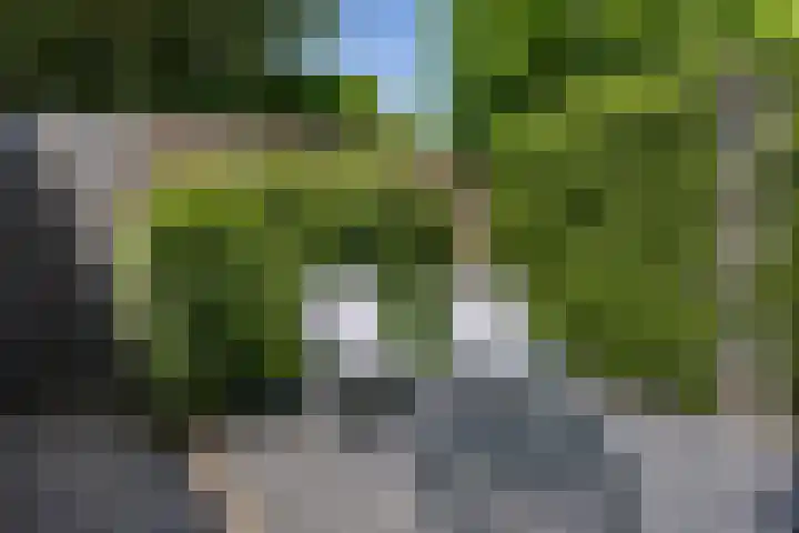 Burgemeester Vissersstraat 35 Tilburg thumbnail 37