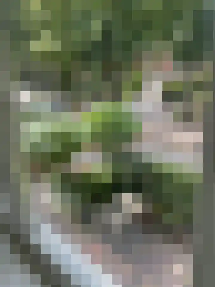 Burgemeester Vissersstraat 6 Tilburg thumbnail 51