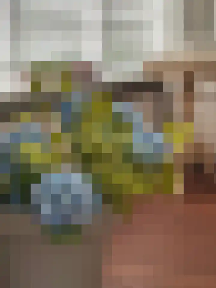 Burgemeester Vissersstraat 6 Tilburg thumbnail 52