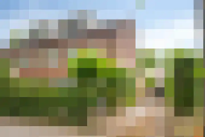 Burgemeester Vissersstraat 6 Tilburg thumbnail 69