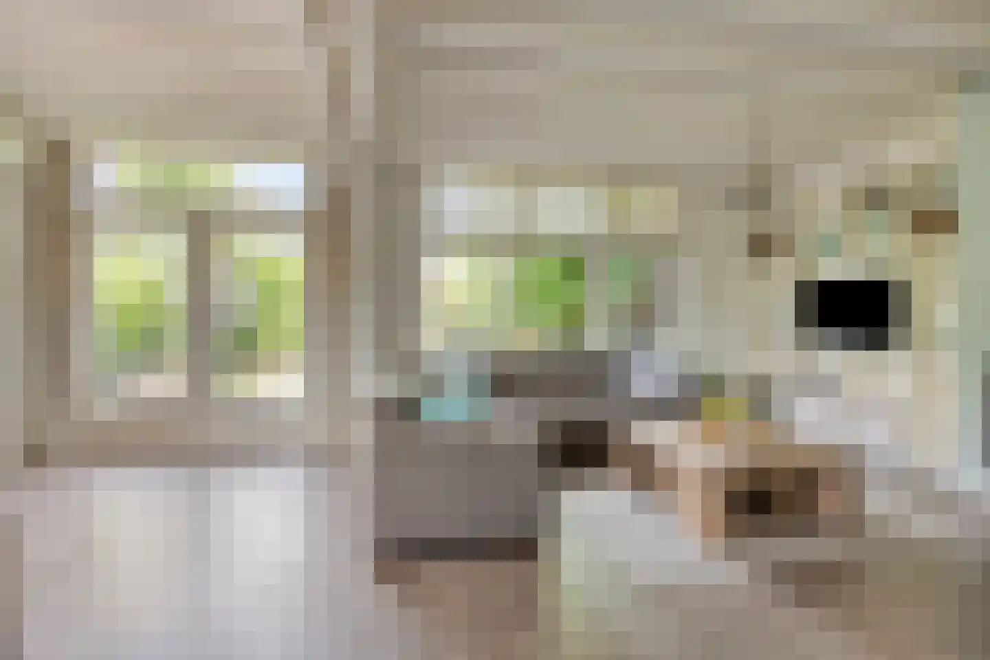 Burgemeester Visserwerf 4 Ottoland thumbnail 17