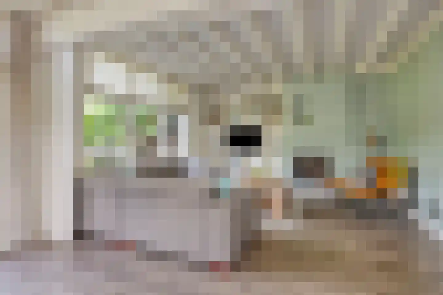 Burgemeester Visserwerf 4 Ottoland thumbnail 18