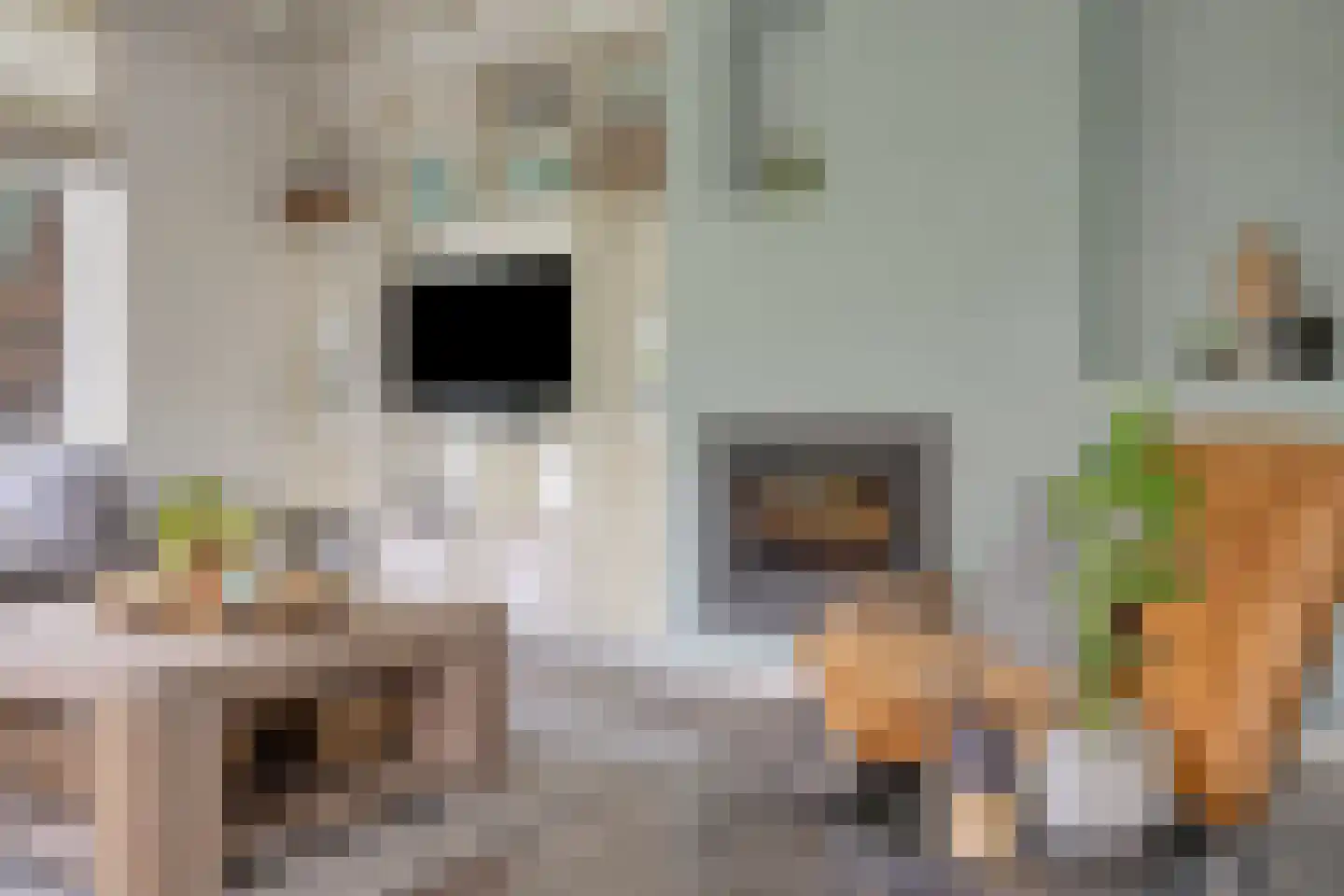 Burgemeester Visserwerf 4 Ottoland thumbnail 19