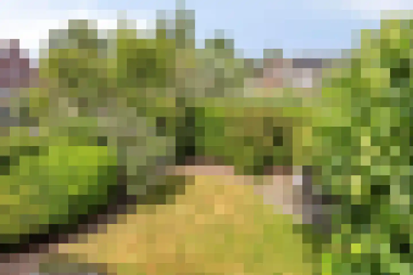 Burgemeester Visserwerf 4 Ottoland thumbnail 48