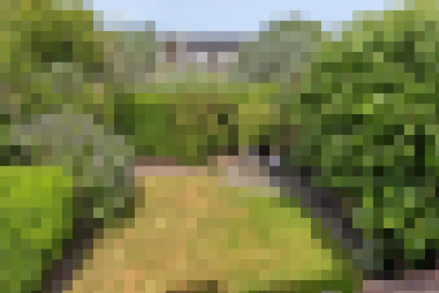 Burgemeester Visserwerf 4 Ottoland thumbnail 49