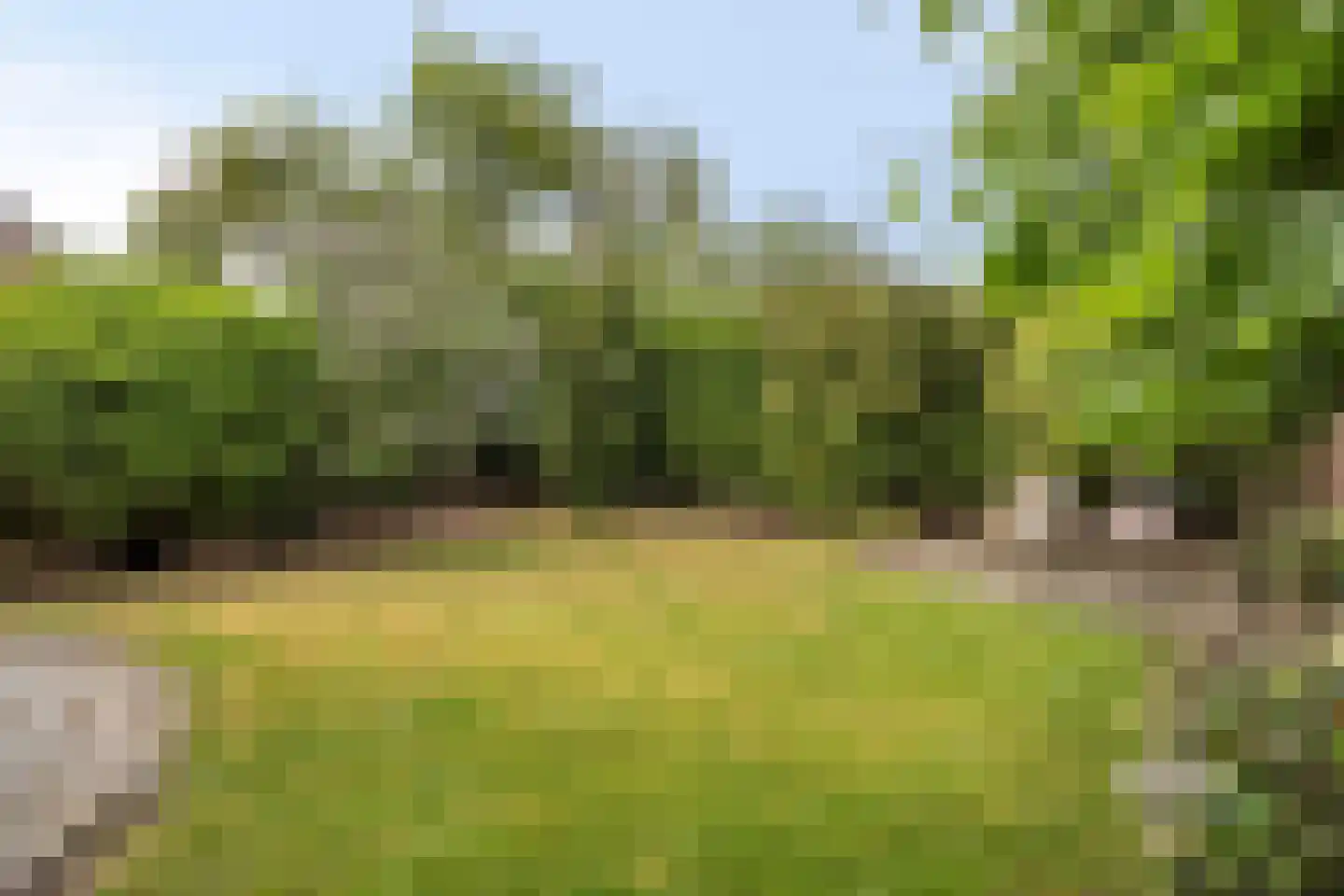 Burgemeester Visserwerf 4 Ottoland thumbnail 51