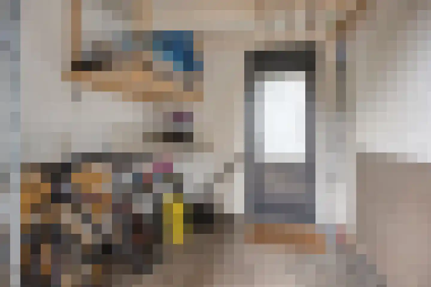 Burgemeester Visserwerf 4 Ottoland thumbnail 55