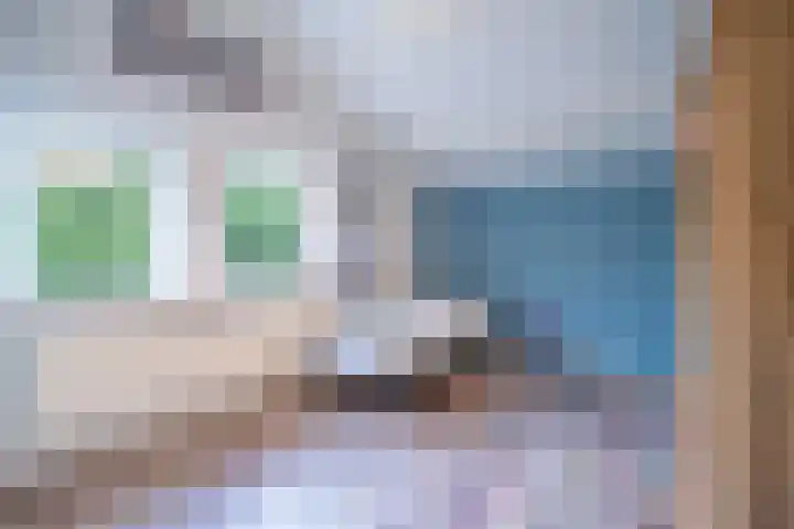 Burgemeester Vlaklaan 10 Hooge Zwaluwe thumbnail 18