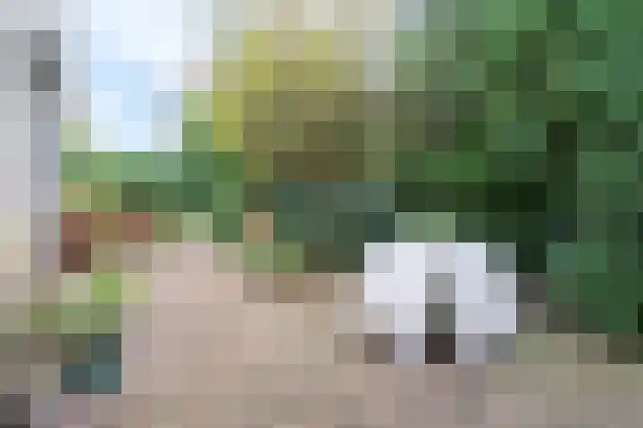 Burgemeester Vlaklaan 10 Hooge Zwaluwe thumbnail 20