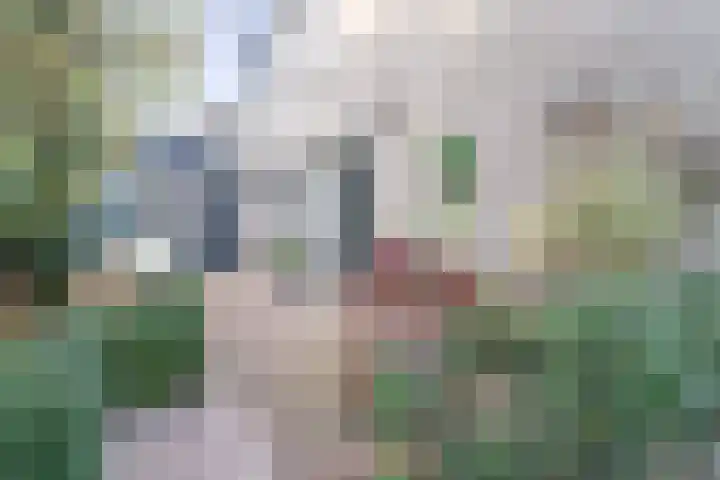 Burgemeester Vlaklaan 10 Hooge Zwaluwe thumbnail 21