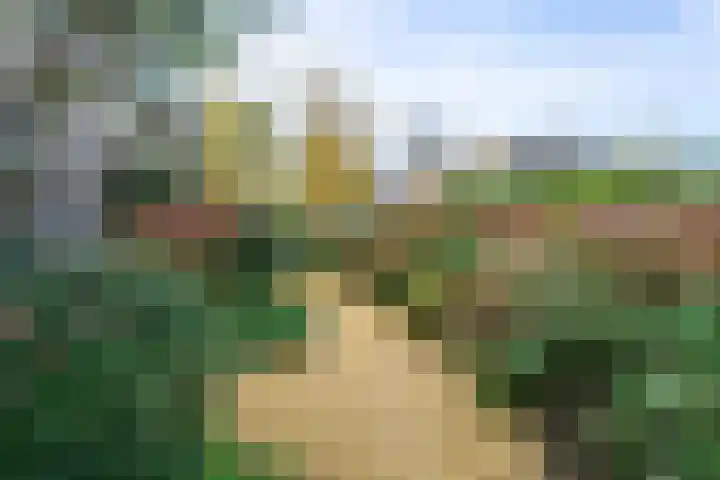 Burgemeester Vlaklaan 10 Hooge Zwaluwe thumbnail 24