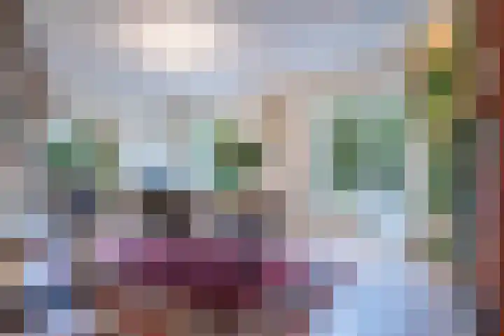 Burgemeester Vlaklaan 10 Hooge Zwaluwe thumbnail 5