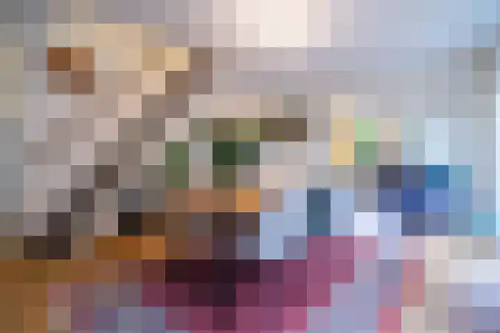 Burgemeester Vlaklaan 10 Hooge Zwaluwe thumbnail 6