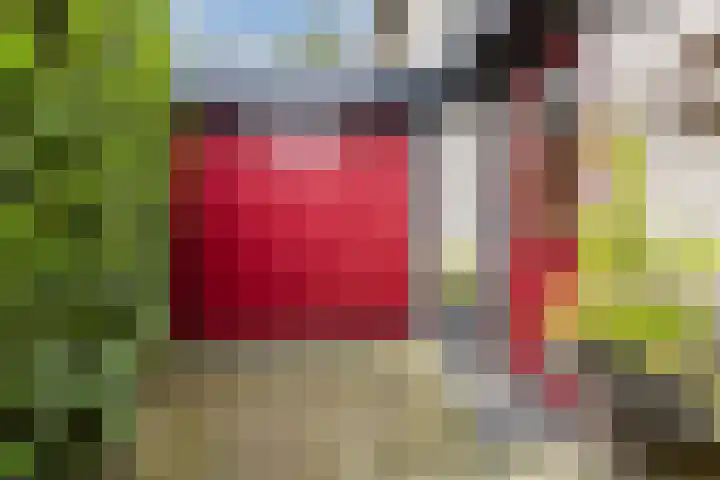 Burgemeester Vlaklaan 17 Hooge Zwaluwe thumbnail 10