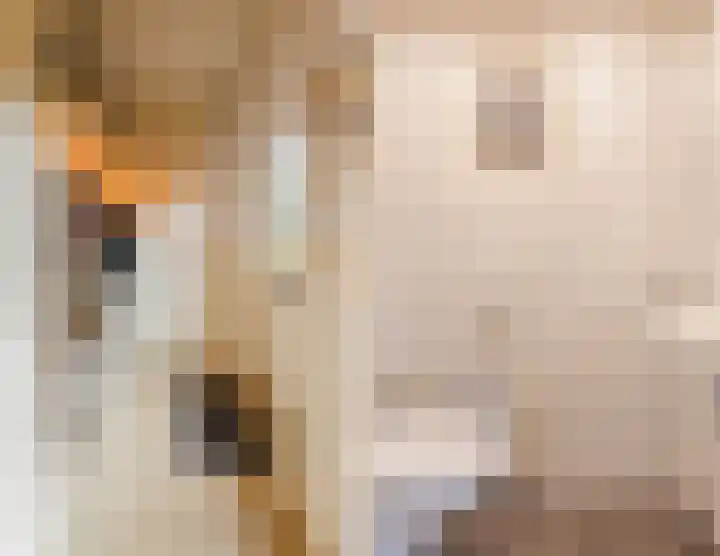 Burgemeester Vlaklaan 17 Hooge Zwaluwe thumbnail 11