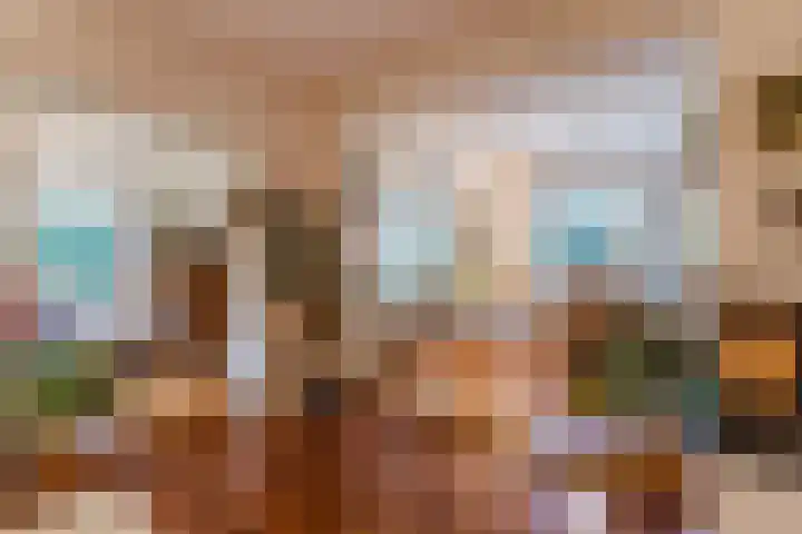 Burgemeester Vlaklaan 17 Hooge Zwaluwe thumbnail 12