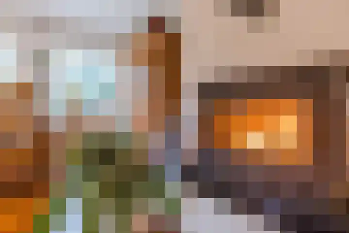 Burgemeester Vlaklaan 17 Hooge Zwaluwe thumbnail 18