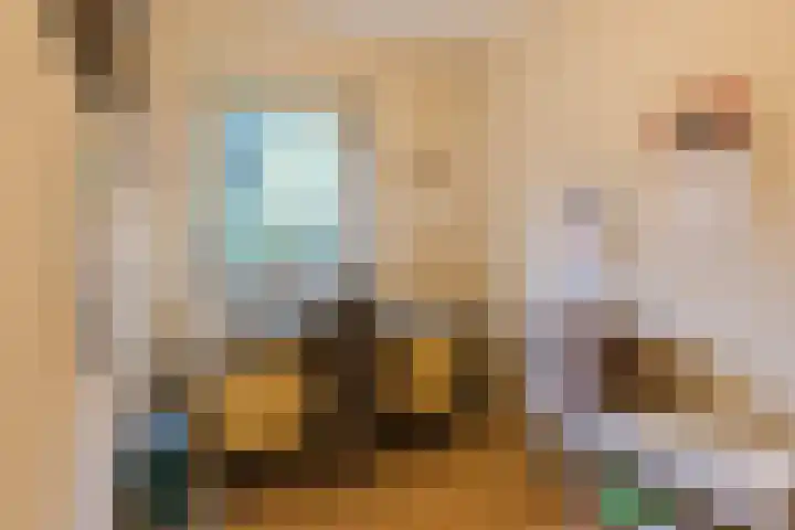 Burgemeester Vlaklaan 17 Hooge Zwaluwe thumbnail 31