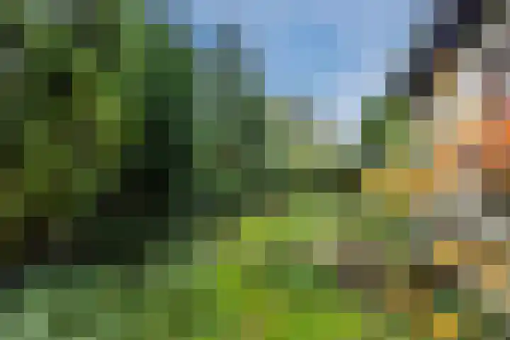 Burgemeester Vlaklaan 17 Hooge Zwaluwe thumbnail 48
