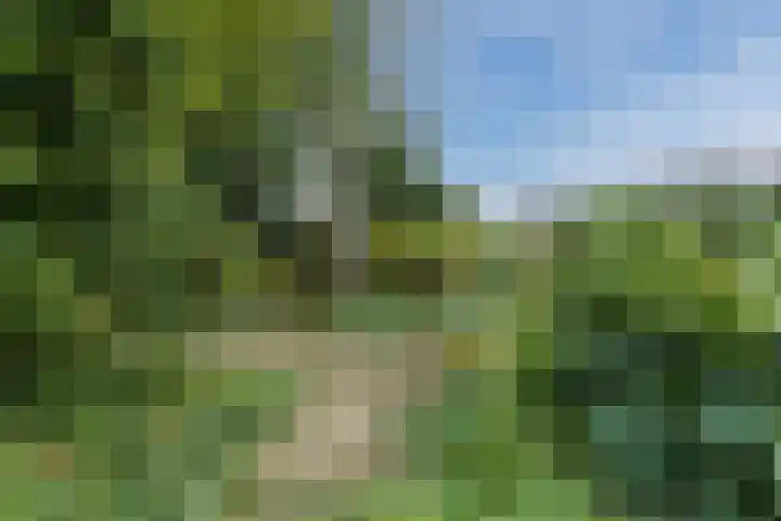 Burgemeester Vlaklaan 17 Hooge Zwaluwe thumbnail 5