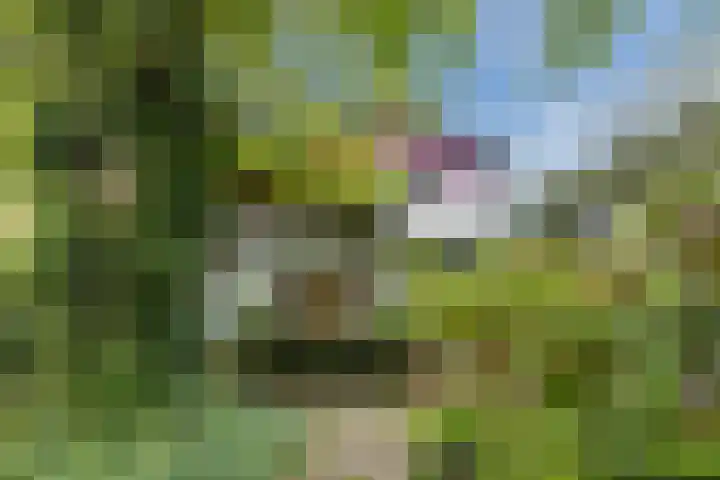 Burgemeester Vlaklaan 17 Hooge Zwaluwe thumbnail 51