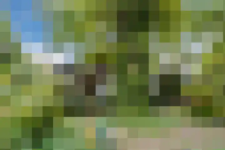 Burgemeester Vlaklaan 17 Hooge Zwaluwe thumbnail 52