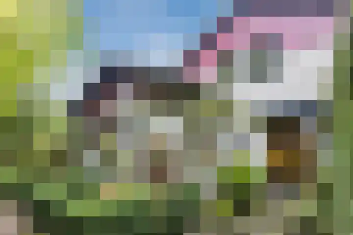 Burgemeester Vlaklaan 17 Hooge Zwaluwe thumbnail 54