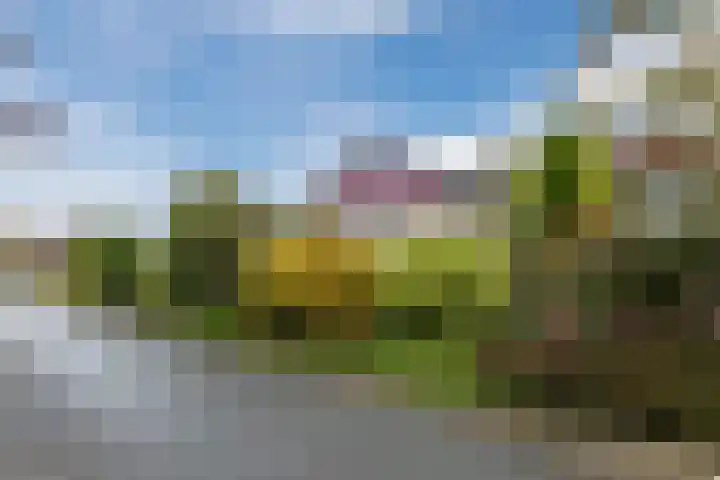 Burgemeester Vlaklaan 17 Hooge Zwaluwe thumbnail 6