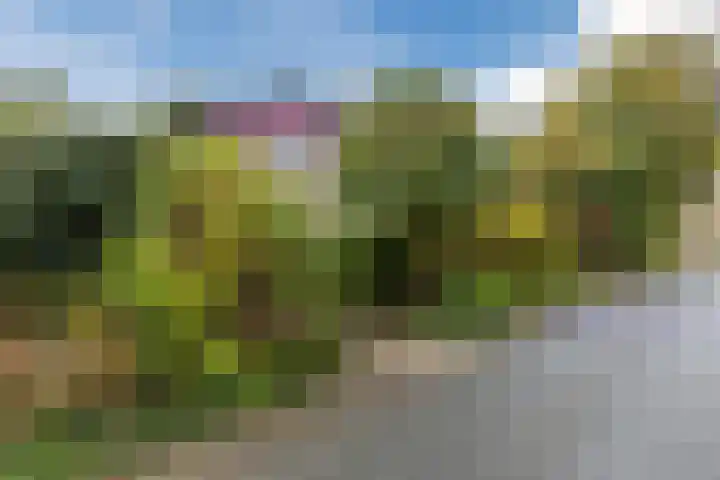 Burgemeester Vlaklaan 17 Hooge Zwaluwe thumbnail 7