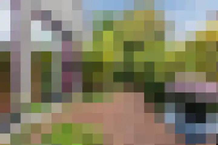 Burgemeester Vlaklaan 17 Hooge Zwaluwe thumbnail 8