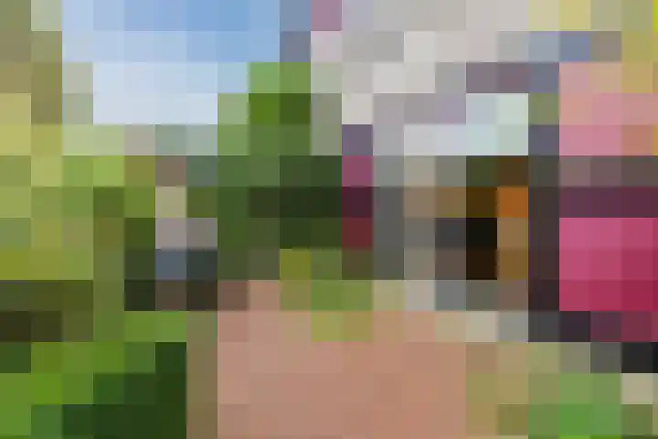 Burgemeester Vlaklaan 17 Hooge Zwaluwe thumbnail 9