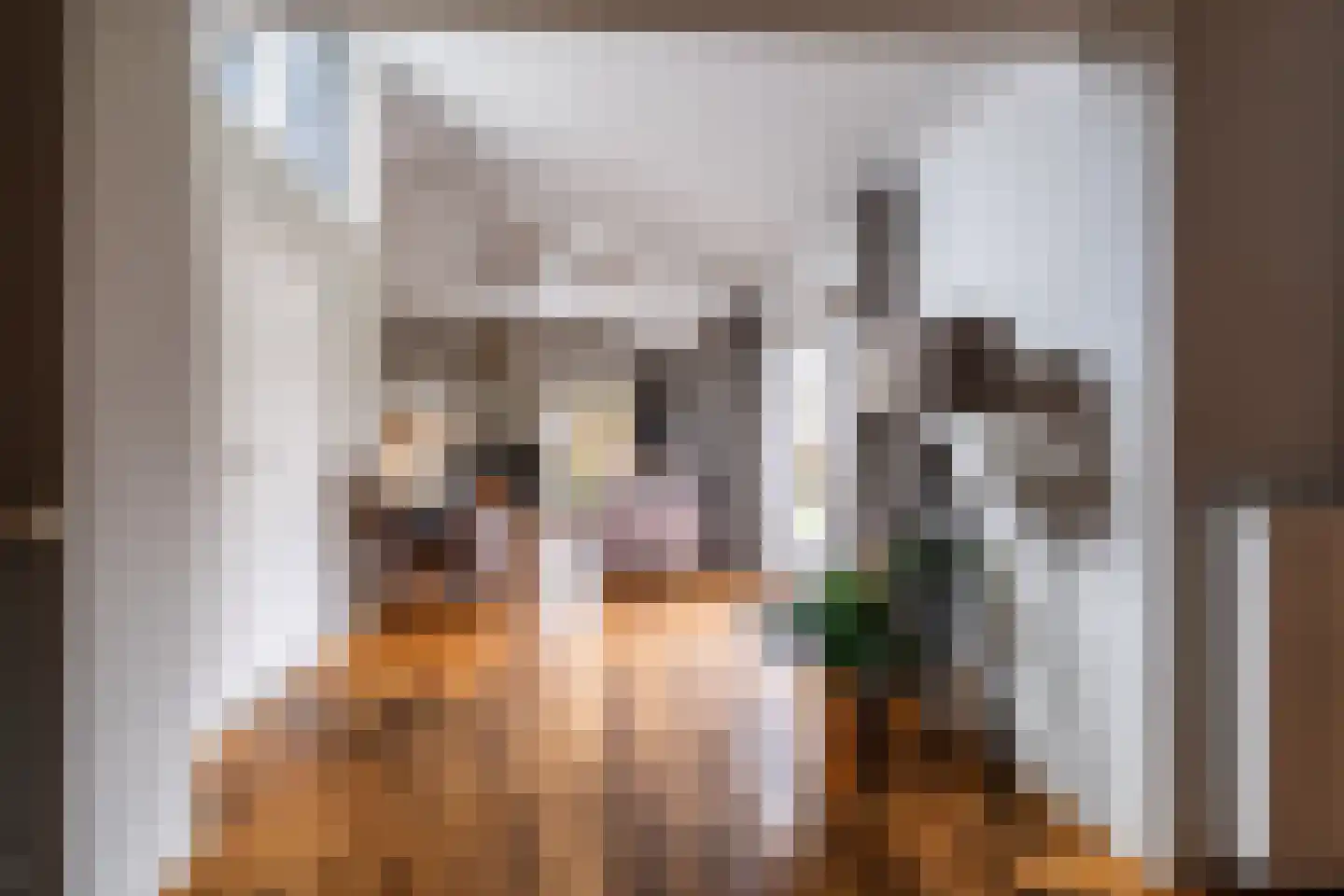 Burgemeester Vlaklaan 40 Hooge Zwaluwe thumbnail 11