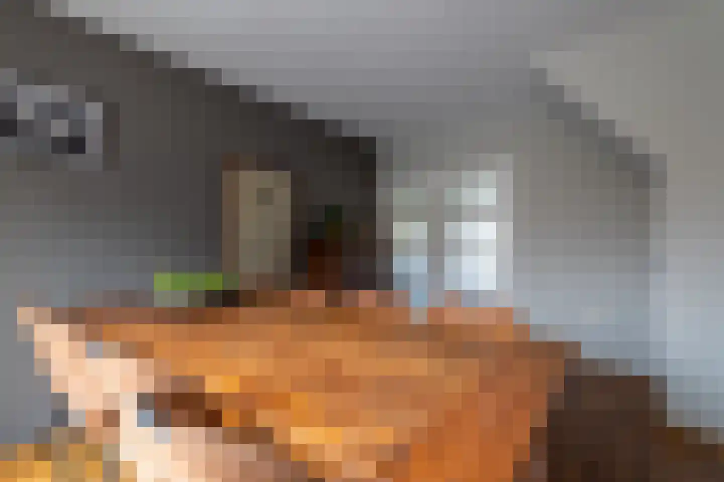 Burgemeester Vlaklaan 40 Hooge Zwaluwe thumbnail 13
