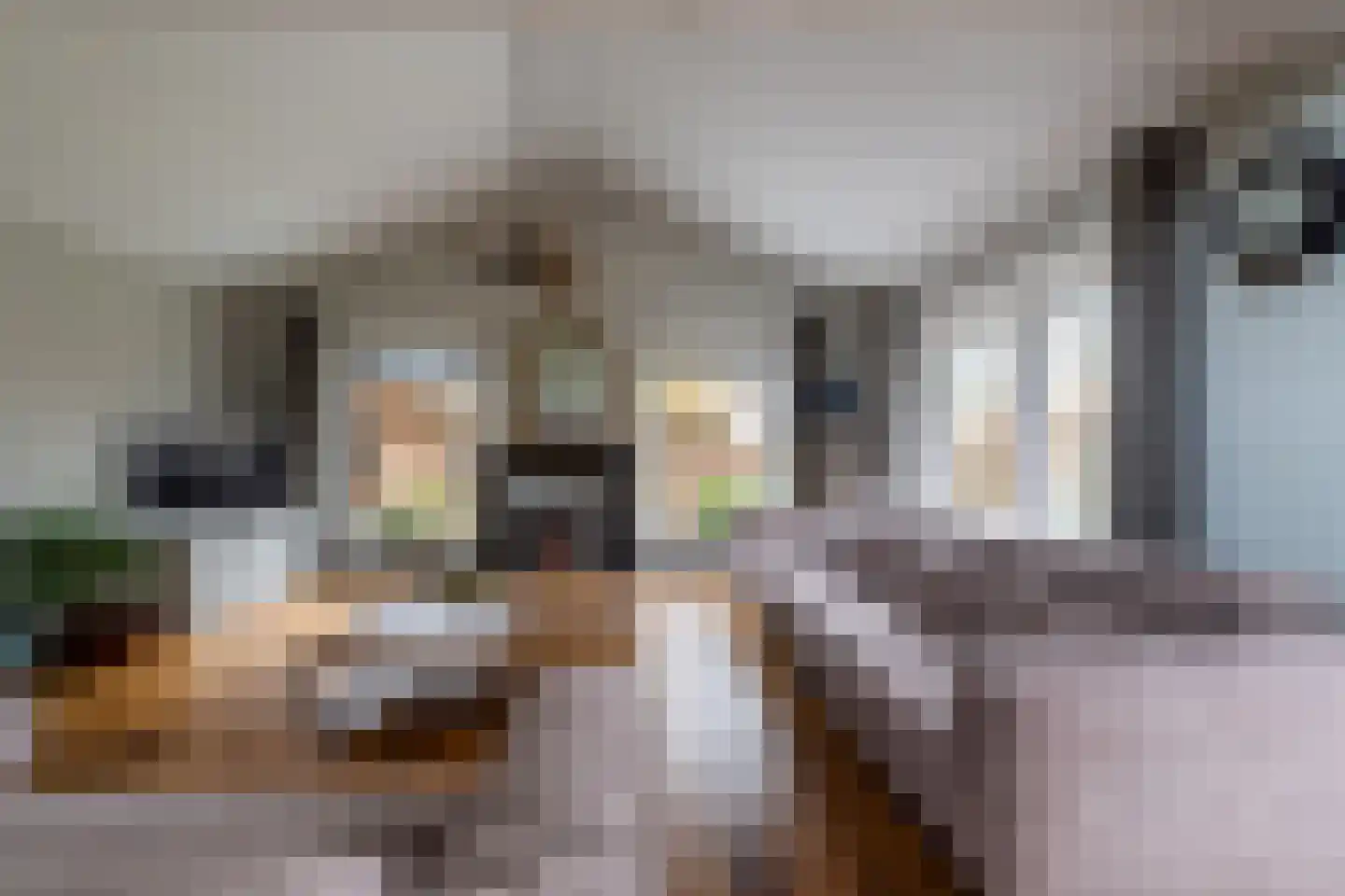 Burgemeester Vlaklaan 40 Hooge Zwaluwe thumbnail 4
