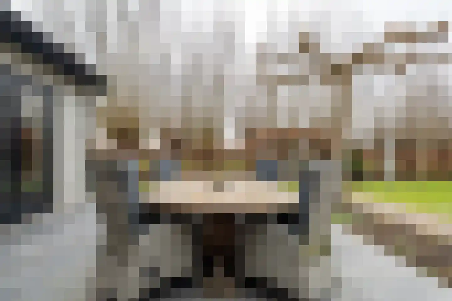 Burgemeester Vlaklaan 40 Hooge Zwaluwe thumbnail 56