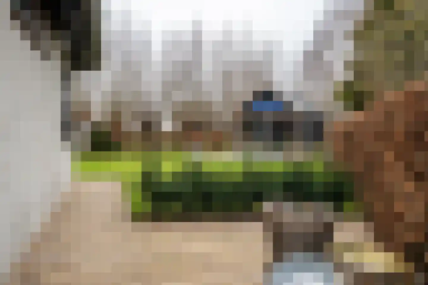 Burgemeester Vlaklaan 40 Hooge Zwaluwe thumbnail 57