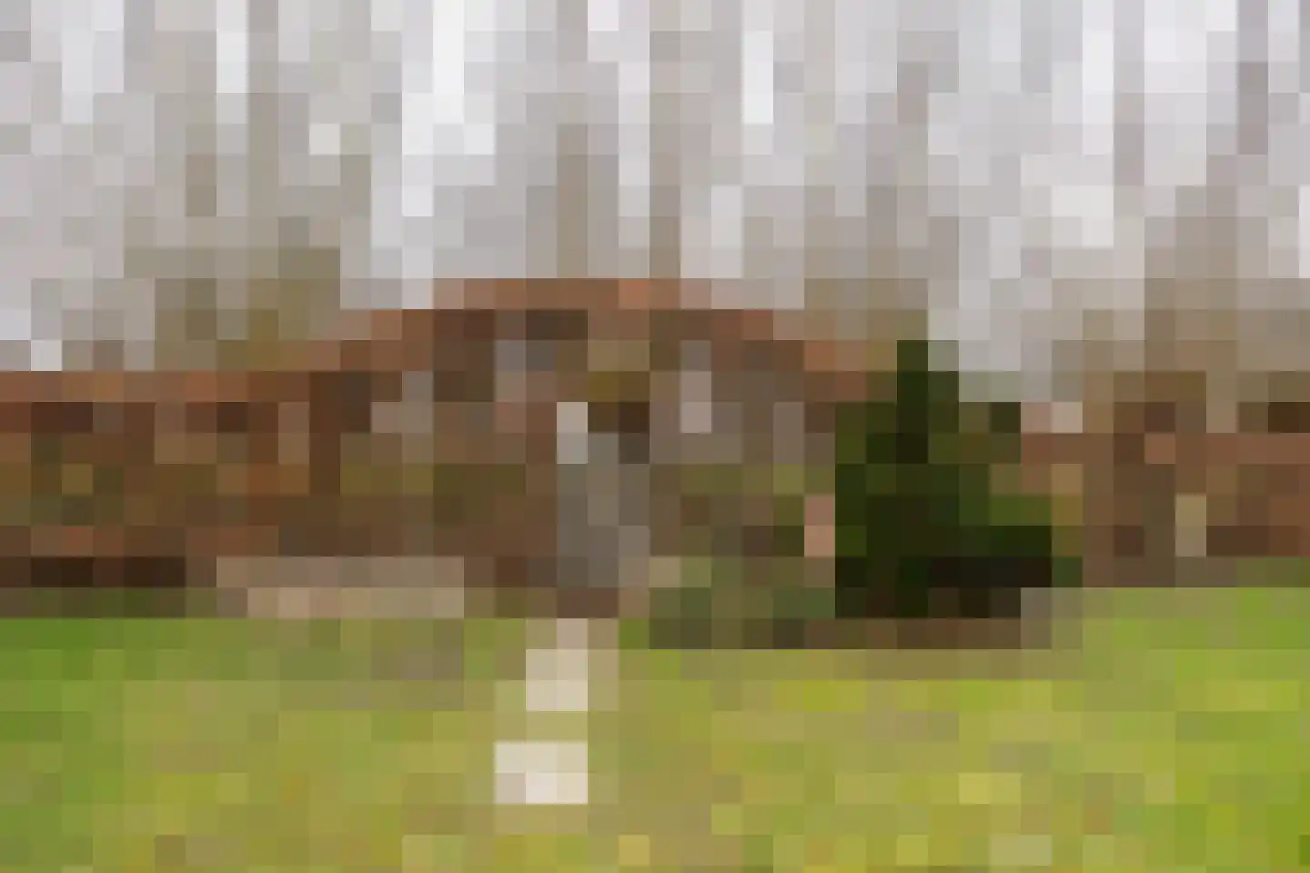 Burgemeester Vlaklaan 40 Hooge Zwaluwe thumbnail 64