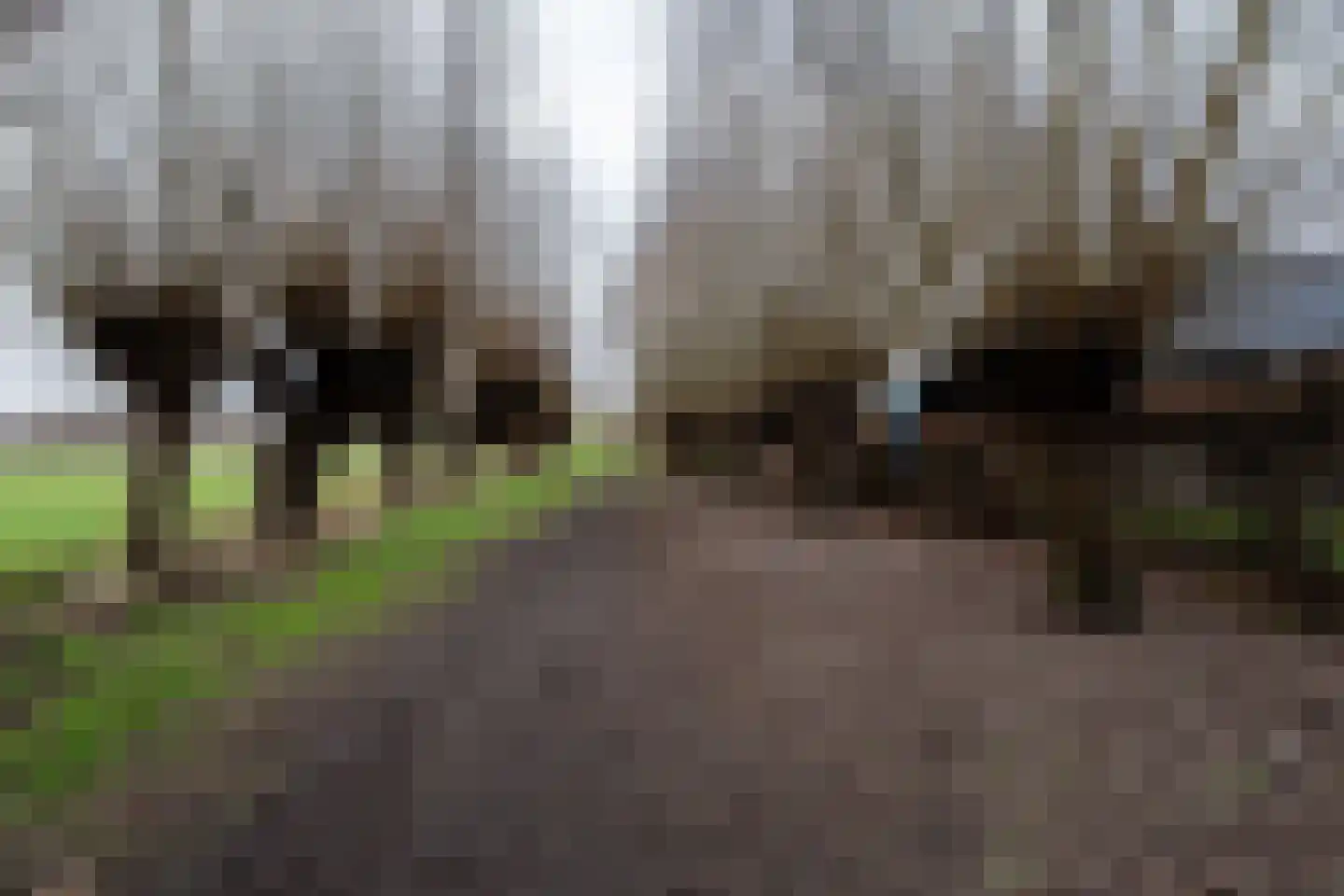 Burgemeester Vlaklaan 40 Hooge Zwaluwe thumbnail 67