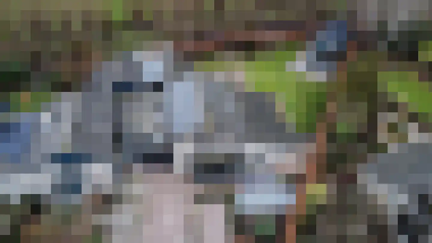 Burgemeester Vlaklaan 40 Hooge Zwaluwe thumbnail 68