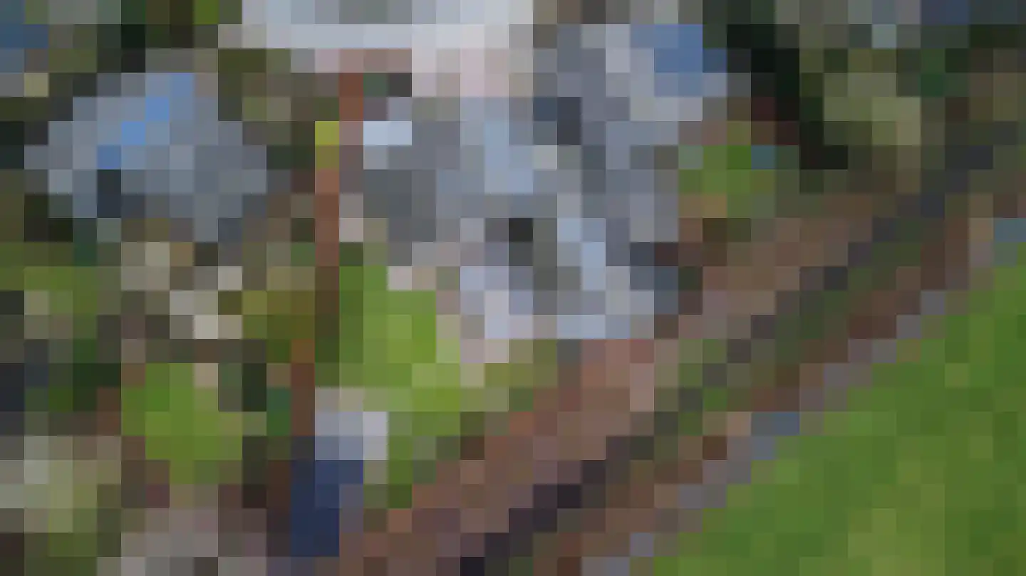 Burgemeester Vlaklaan 40 Hooge Zwaluwe thumbnail 69