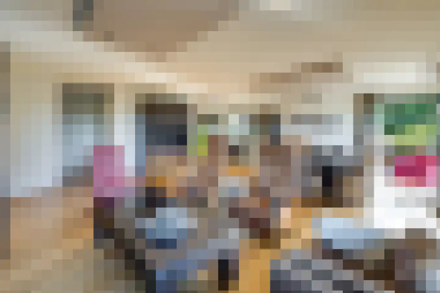 Burgemeester Voetenstraat 91 Rucphen thumbnail 18