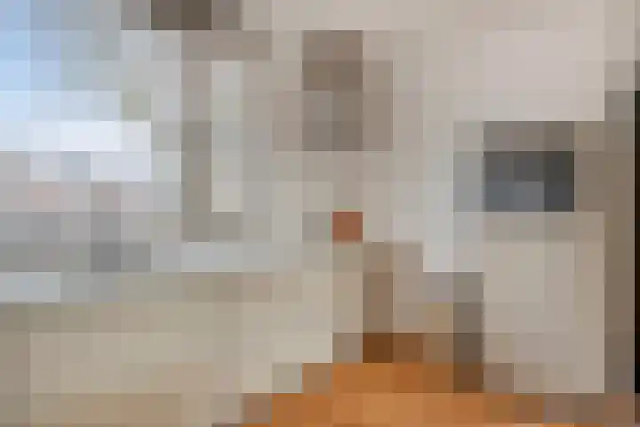 Burgemeester Vogelspad 4 Eindhoven thumbnail 12
