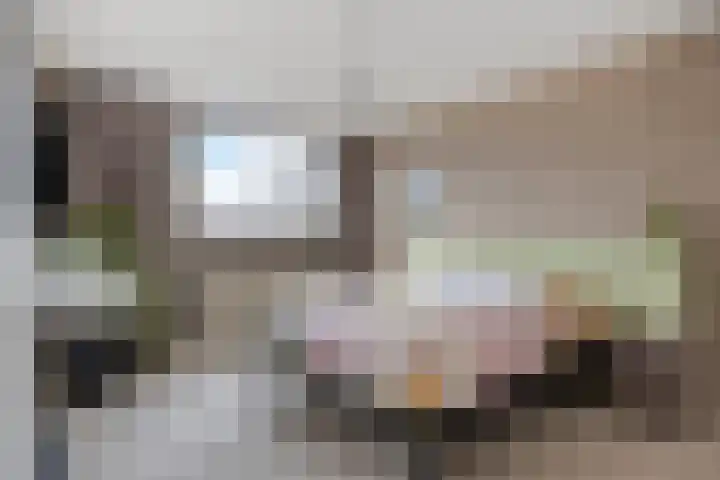 Burgemeester Vogelspad 4 Eindhoven thumbnail 16
