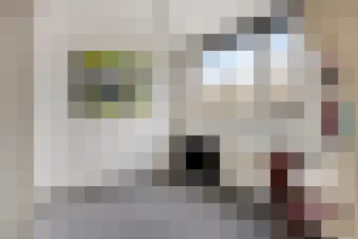 Burgemeester Vogelspad 4 Eindhoven thumbnail 21