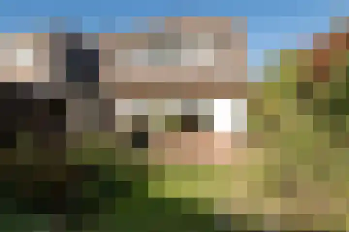 Burgemeester von Geusauweg 2 Geldermalsen thumbnail 28