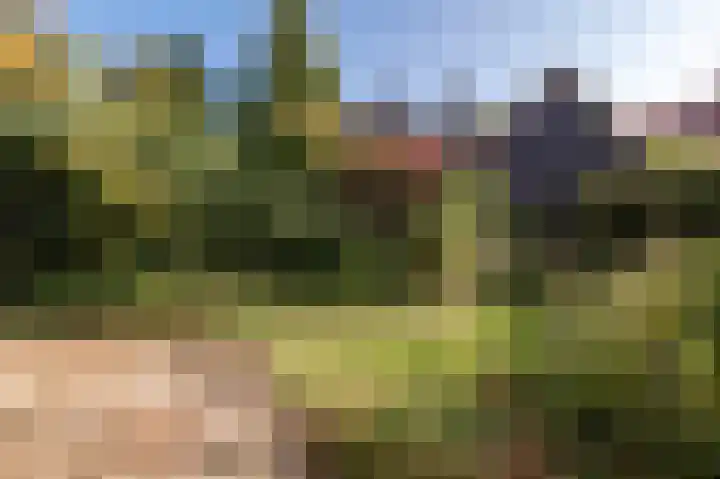 Burgemeester von Geusauweg 2 Geldermalsen thumbnail 30