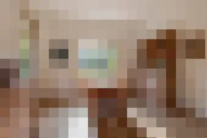Burgemeester von Geusauweg 2 Geldermalsen thumbnail 8